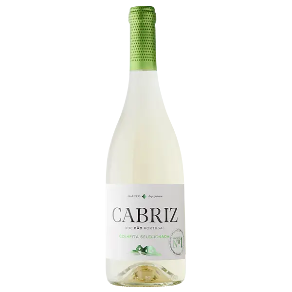Cabriz Colheita Selecionada 2024 hvidvin