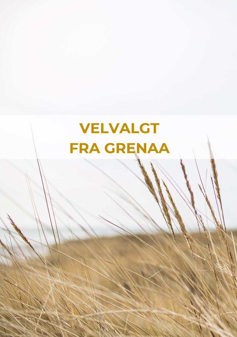 VELGVALGT FRA GRENAA - Kogebog